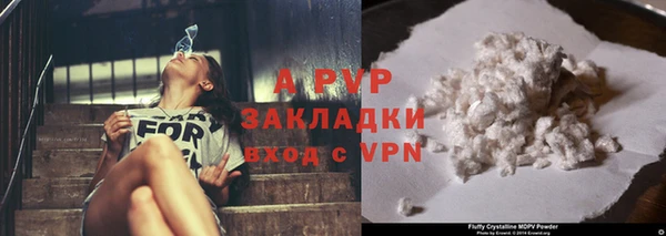 шишки Абаза