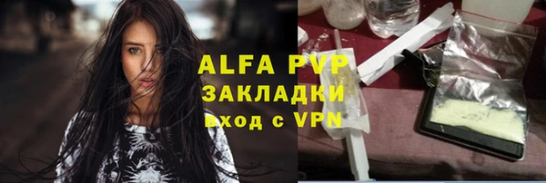 шишки Абаза