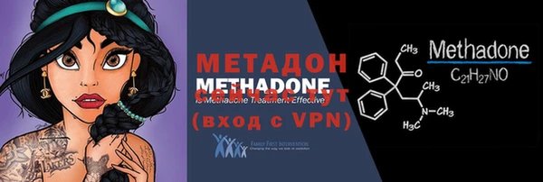 шишки Абаза