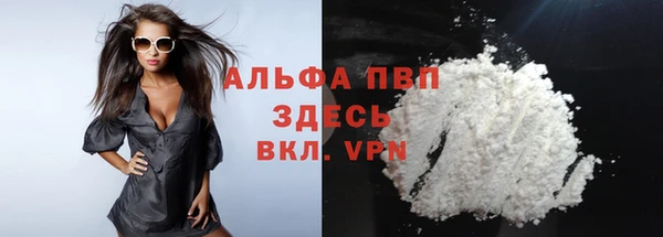 шишки Абаза