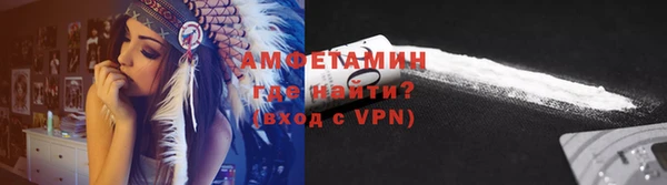 шишки Абаза