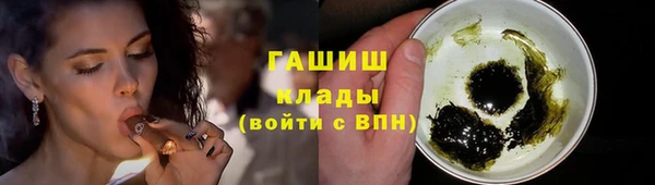 шишки Абаза