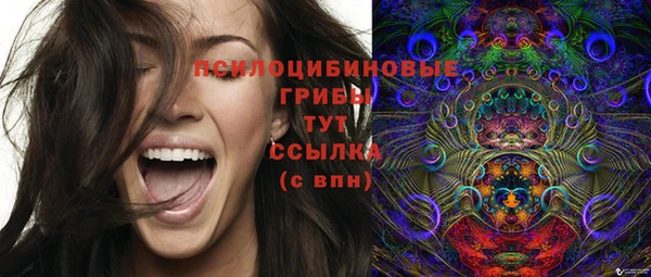 шишки Абаза