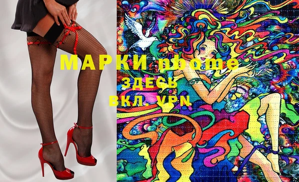 шишки Абаза