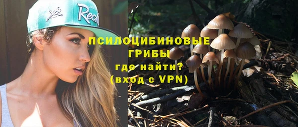 спиды Алексин