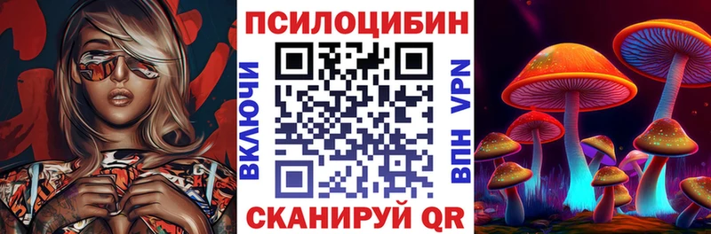 Галлюциногенные грибы GOLDEN TEACHER  где купить наркотик  Новоульяновск 